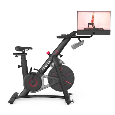 Bicicleta fitness YESOUL Spinning Bike G1M Plus, Black, Display 21.5”, Rezistenta magnetica, Soundbar - Default Title