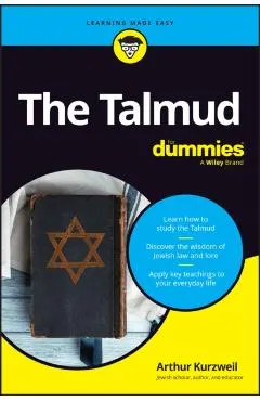 The Talmud for Dummies