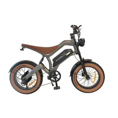 DYU M20 Bicicletă electrică de teren 20 inch cu baterie de 48V 18.2AH