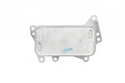 Termoflot Radiator Ulei Bmw Seria 3 (f30, F80), 3 (f31), 3 Gran Turismo (f34), 4 (f32, F82), 4 (f33, F83), 4 Gran Coupe (f36), 5 (f10), 5 (f11), 5 Gran Turismo (f07), 6 (f12), 6 (f13), 6 Gran Coupe (f