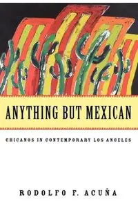 Anything But Mexican