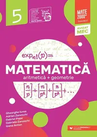 Matematică Standard. Algebră, geometrie. Clasa a V-a - Paperback brosat