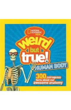 Human Body