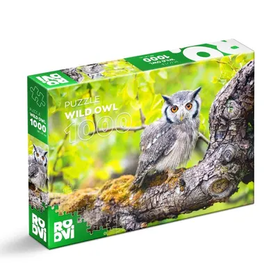 Puzzle 1000 Piese, Roovi, Bufnita Salbatica de James Rushforth