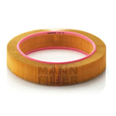 Filtru aer MANN-FILTER C 40 174