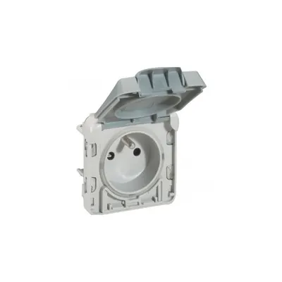 priza Plexo IP55-Fr standard-2P+E automatic opening of flap-modular-gri