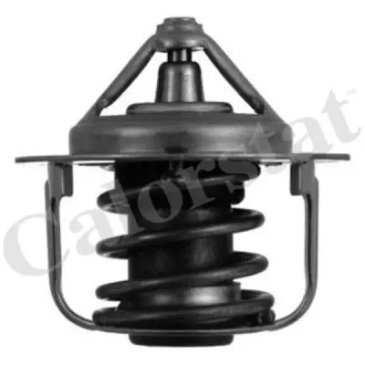 Termostat, lichid racire CALORSTAT by Vernet TH5076.88J