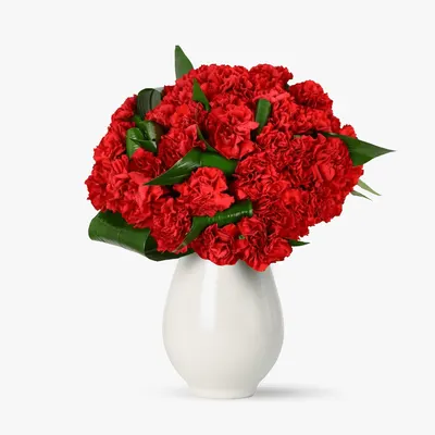Buchet de 39 garoafe rosii