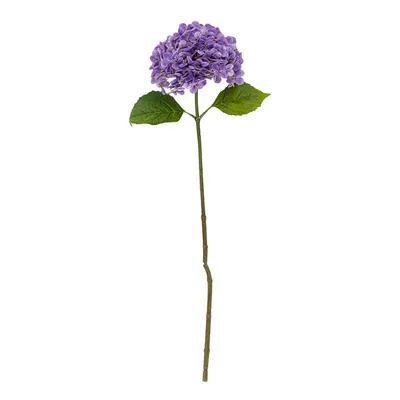 Plantă artificială (înălțime 73,5 cm) Hydrangea – Bloomingville