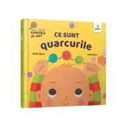 Ce sunt quarcurile