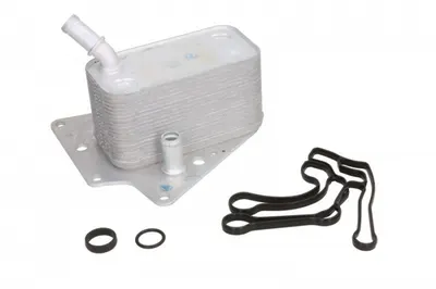 Termoflot Radiator Ulei Cadillac Bls; Fiat Croma; Opel Astra H, Astra H Gtc, Signum, Vectra C, Vectra C Gts, Zafira B, Zafira B Minivan; Saab 9-3 1.9d Dupa 2004