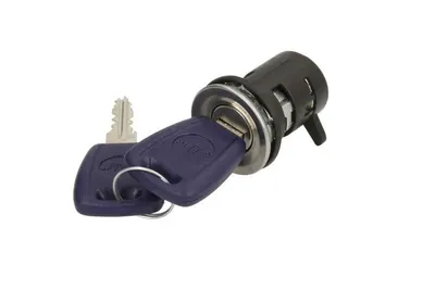 Carcasa cilindru inchidere Fata Dreapta potrivit FIAT PUNTO, PUNTO EVO/HATCHBACK, PUNTO/HATCHBACK dupa 1999
