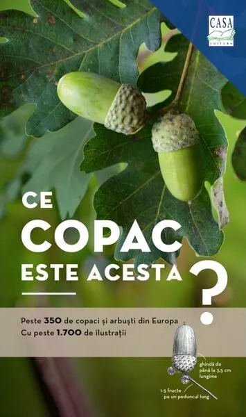 Ce copac este acesta? - Paperback brosat - Margot Spohn, Roland Spohn