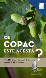 Ce copac este acesta? - Paperback brosat - Margot Spohn, Roland Spohn