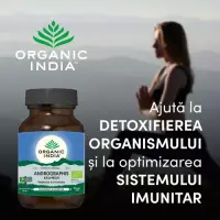 Andrographis - Respirație & Imunitate, 60 cps ECO | Organic India