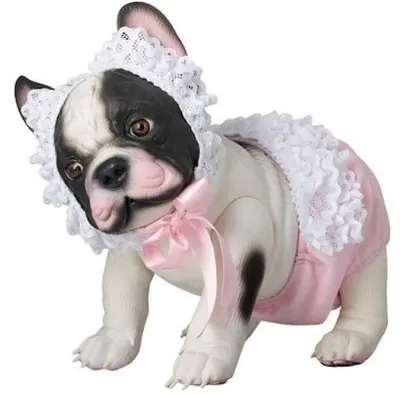 Jucarie Asi - Catelusa Lili, buldog francez, cu pantaloni din dantela si palarie, 32 cm