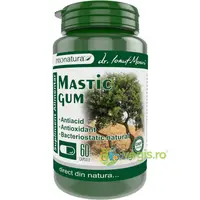 Mastic Gum 60cps