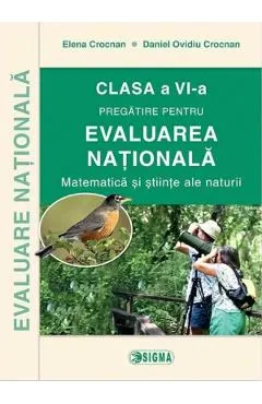Matematica si stiinte ale naturii. Evaluare Nationala - Clasa 6