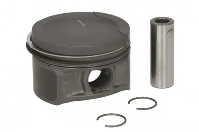 Piston 81,01 (std) Potrivit Audi A3, A4 B5; Seat Cordoba, Cordoba Vario, Ibiza Ii, Leon, Toledo I, Toledo Ii; Skoda Octavia I; Vw Bora, Bora I, Golf Iii, Golf Iv, New Beetle, Passat B3 B4 1.6 07.94-12