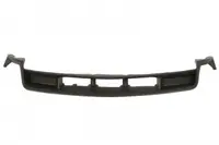 Grila (gt, Negru, Capa) Ford Usa Mustang Cabriolet Cupe 09.05-