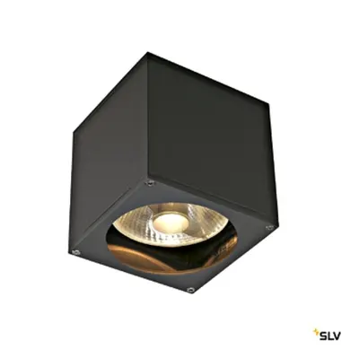 BIG THEO WALL OUT de perete, ES111, max. 75W, anthracit
