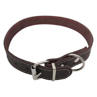 Zgarda din piele pentru caini Nr. 3 Petro Maro 2,3 x 50 cm