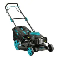 Masina de tuns iarba pe benzina - 4 in 1 - colectare, mulcire, evacuare posterioara si laterala, 3.6 CP, 46 cm, 60L, Detoolz DZ-M106