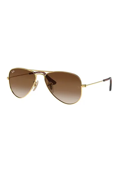 Ochelari de soare aviator cu lentile polarizate si rama metalica - Auriu/Maro cognac
