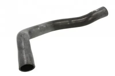 Furtun radiator inferior (31mm 35mm) potrivit MINI (R50, R53), (R52) 1.6 03.02-07.08