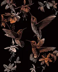 Set de gravură Royal Copper - Trio de colibri, 20 x 25 cm