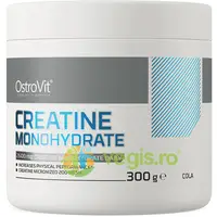 Creatina Monohidrata cu Aroma de Cola 300g