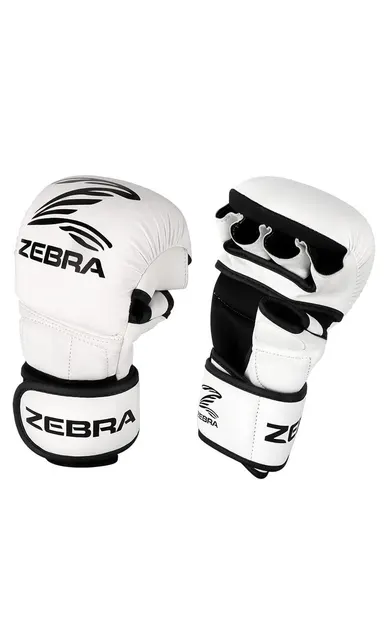 Manusi ZEBRA MMA Sparring Albe