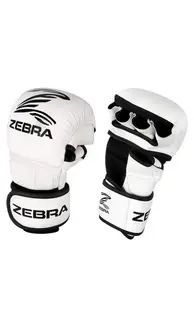 Manusi ZEBRA MMA Sparring Albe