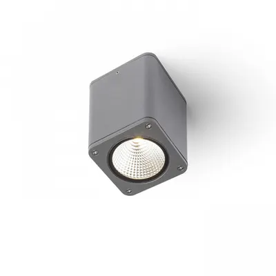 MIZZI SQ Plafoniera gri antracit 230V LED 12W 46° IP54 3000K