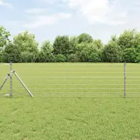 vidaXL Gard Euro pentru Exterior Fixat în Pământ 10 x 0,6 m Argintiu
