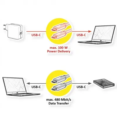 Cablu USB 2.0 type C 100W T-T 1m, Value 11.99.8308