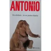 Un elefant... te-ar putea insela. San Antonio