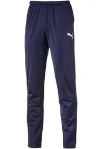 Pantaloni barbati Puma Men Liga Pants Core, Albastru