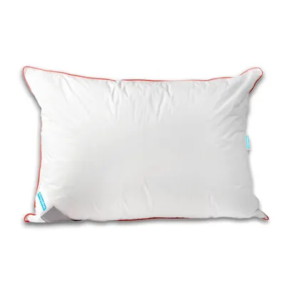 Perna din puf de gasca 50x70- Supreme
