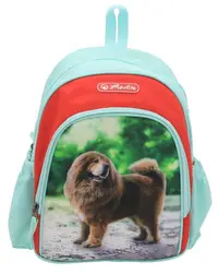 Rucsac Cool, 31x20x12 cm, Boss Phantom Red, Herlitz