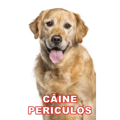 Indicator caine periculos Golden Retriever