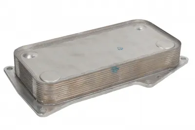 Radiator Ulei (120x37x250mm) Potrivit Fendt 300, 400; Ahlmann As; Atlas Copco Xas, Copco Xats, Zw; Bomag Bw; Deutz Fahr Agrofarm, Agrotron, Agrotron K, Agrovector Bf4m1012ec-Td226b-4