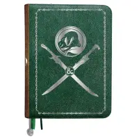 Premium Book Cover for D&D - Artifacts Across Eternities - Drizzt & the Forgotten Realms
