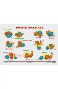 Plansa. Pozitii spatiale