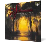 Schumann: Piano Works