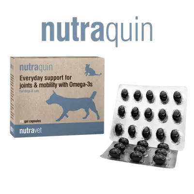 Nutravet Nutraquin, Caini & Pisici, 45 capsule moi