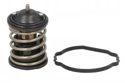 Termostat lichid racire (87 C) potrivit BMW 1 (E81), 1 (E82), 1 (E87), 1 (E88), 1 (F20), 1 (F21), 2 (F22, F87), 3 (E90), 3 (E91), 3 (E92), 3 (E93), 3 (F30, F80), 3 (F31) 1.6D 2.0D 3.0D 06.04