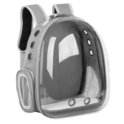 Rucsac Pentru Transport Pisici, Gri, Transparent, 31x42x28 cm