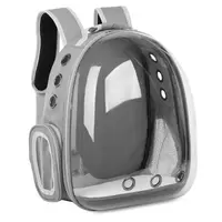 Rucsac Pentru Transport Pisici, Gri, Transparent, 31x42x28 cm