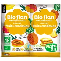 Budinca de Fructe Exotice fara Zahar Ecologica/Bio 2x4g